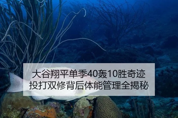 大谷翔平单季40轰10胜奇迹 投打双修背后体能管理全揭秘