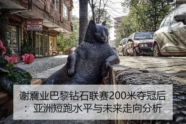 xie-zhen-ye-ba-li-zuan-shi-lian-sai-mi-duo-guan-hou-ya-zhou-duan-pao-shui-ping-yu-wei-lai-zou-xiang-fen-xi-3-918.jpg