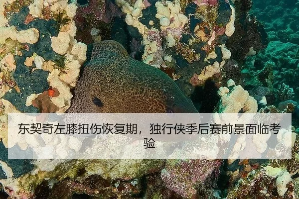 dong-qi-qi-zuo-xi-niu-shang-hui-fu-qi-du-xing-xia-ji-hou-sai-qian-jing-mian-lin-kao-yan-2-955.jpg